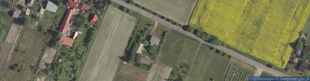 Zdjęcie satelitarne Borów-Kolonia ul.