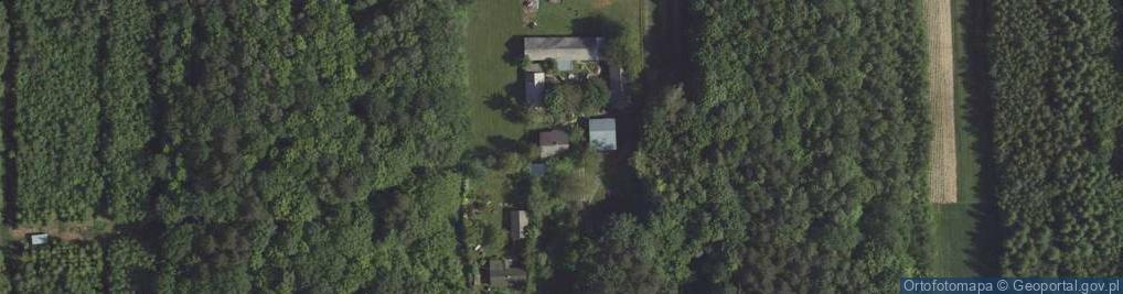 Zdjęcie satelitarne Borów ul.