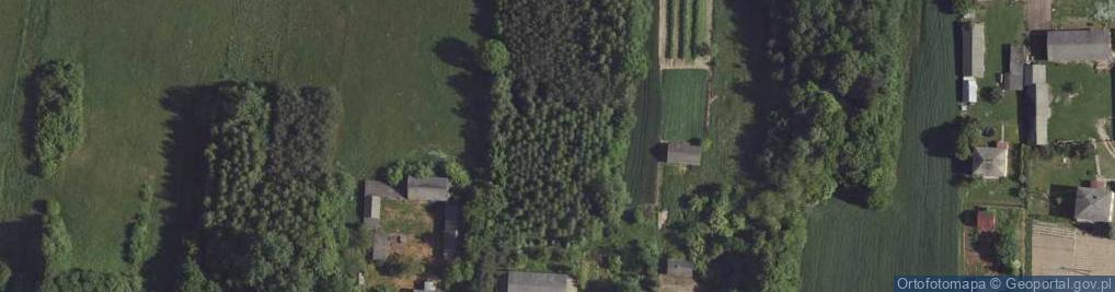 Zdjęcie satelitarne Borów ul.