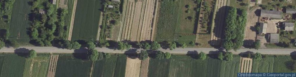 Zdjęcie satelitarne Borów ul.