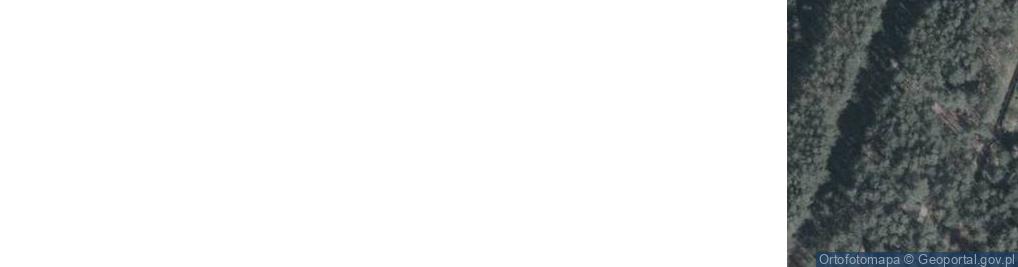 Zdjęcie satelitarne Borówek ul.