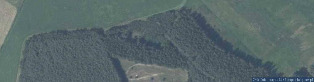 Zdjęcie satelitarne Borowiec ul.