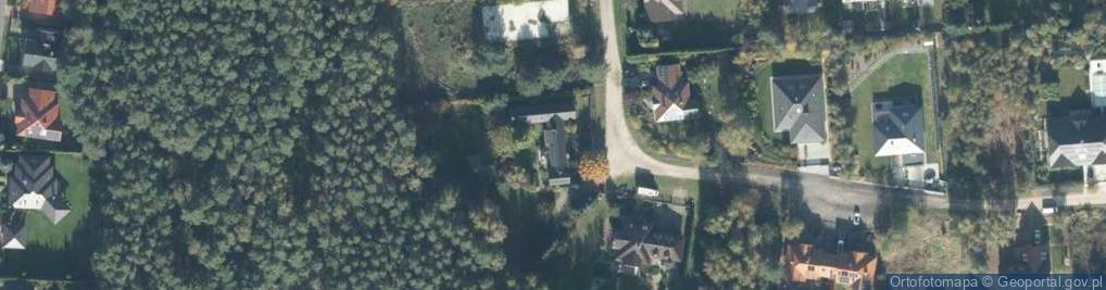 Zdjęcie satelitarne Borowikowa ul.
