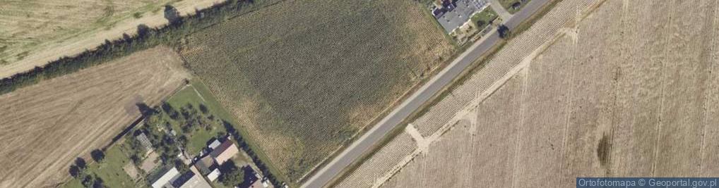 Zdjęcie satelitarne Borowiec ul.