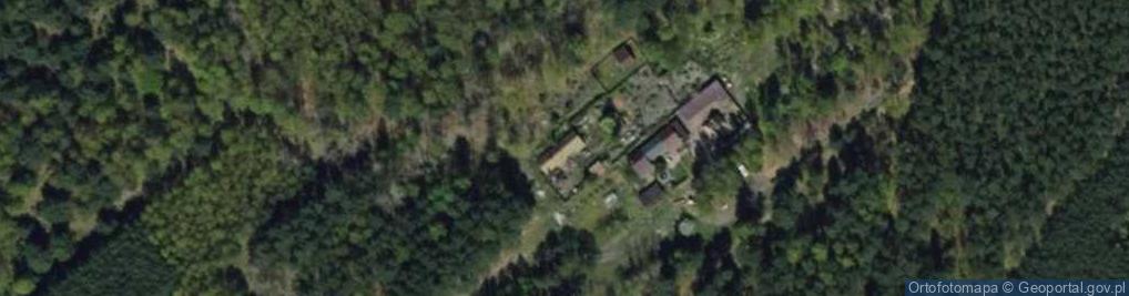 Zdjęcie satelitarne Borowiny ul.