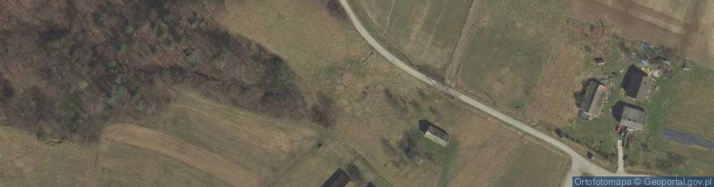 Zdjęcie satelitarne Borówna ul.