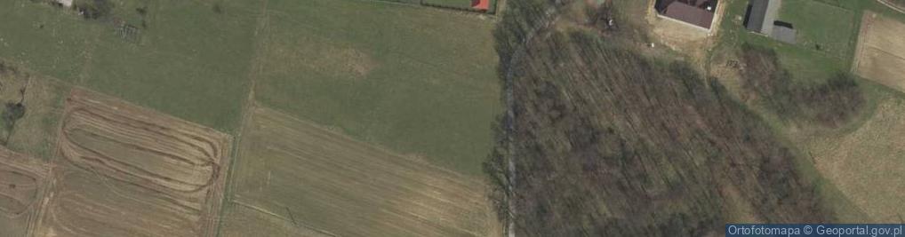 Zdjęcie satelitarne Borówna ul.