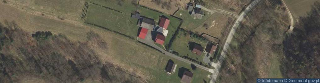 Zdjęcie satelitarne Borówna ul.