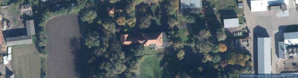 Zdjęcie satelitarne Borowo ul.