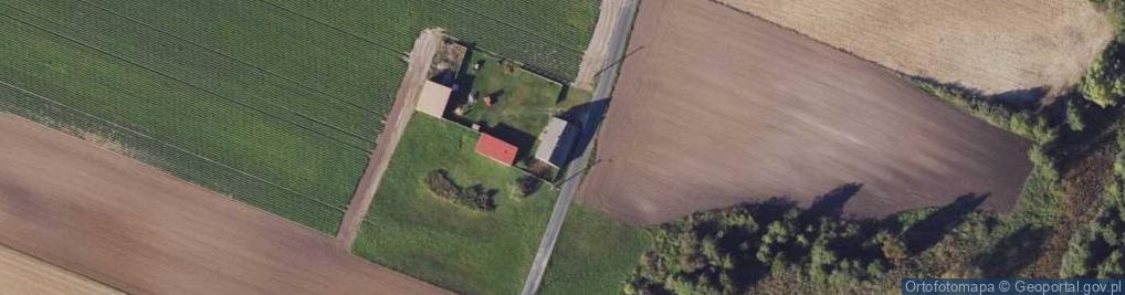 Zdjęcie satelitarne Borowo ul.