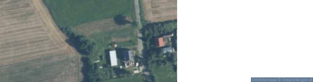 Zdjęcie satelitarne Boryszewo ul.