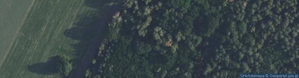 Zdjęcie satelitarne Borza-Przechy ul.