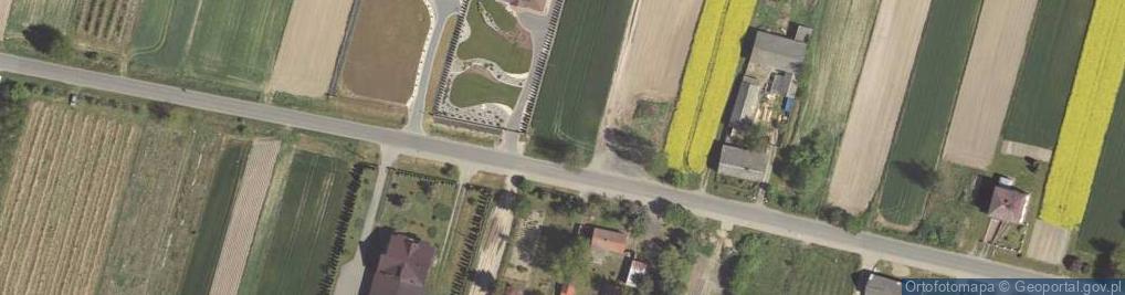 Zdjęcie satelitarne Borzechów ul.