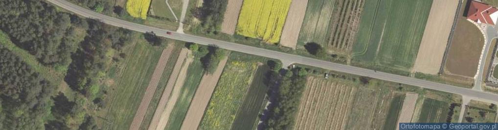 Zdjęcie satelitarne Borzechów ul.