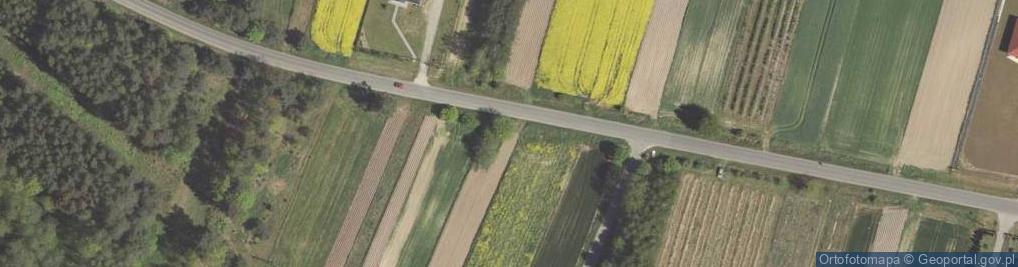 Zdjęcie satelitarne Borzechów ul.