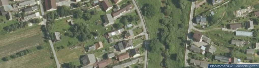 Zdjęcie satelitarne Borzęcin ul.