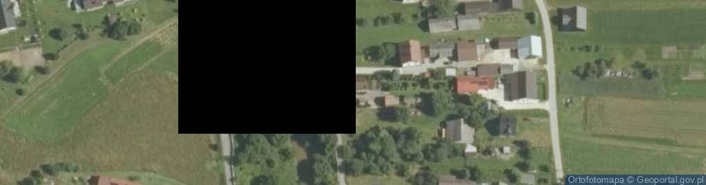 Zdjęcie satelitarne Borzęcin ul.