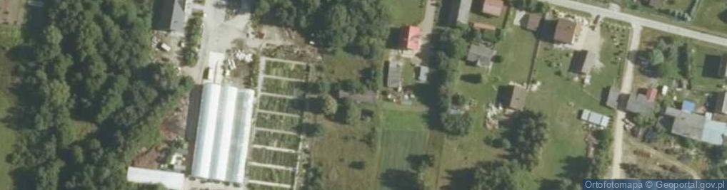 Zdjęcie satelitarne Borzęcin ul.