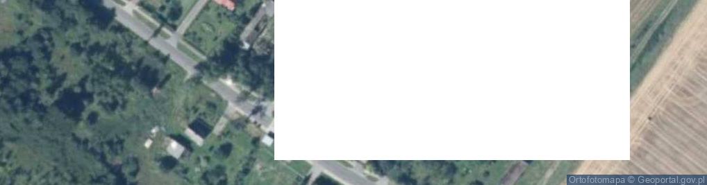 Zdjęcie satelitarne Borzęcinko ul.