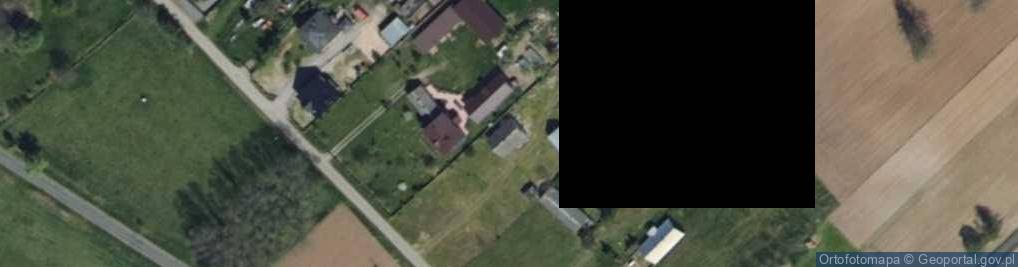 Zdjęcie satelitarne Borzewisko ul.