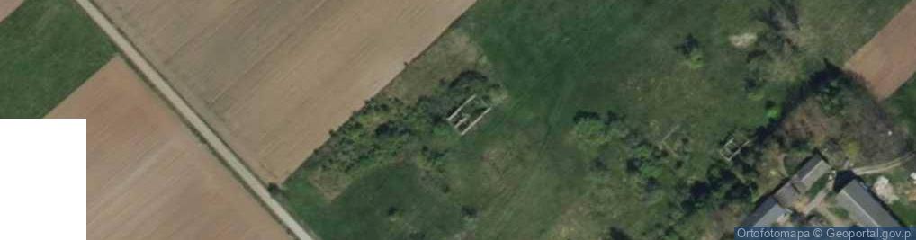 Zdjęcie satelitarne Borzewisko ul.