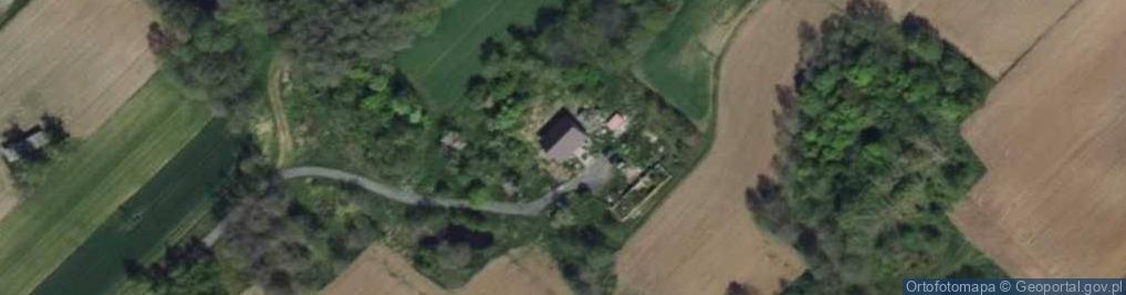 Zdjęcie satelitarne Borzewisko ul.