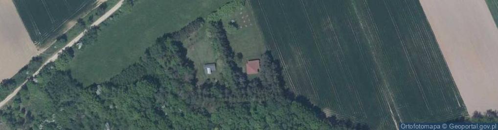 Zdjęcie satelitarne Borzygniew ul.
