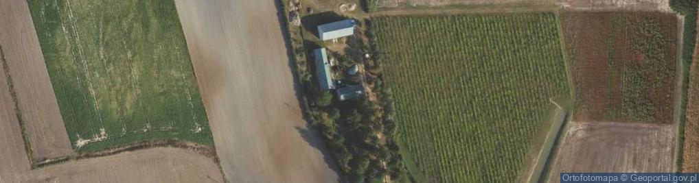 Zdjęcie satelitarne Borzymie ul.