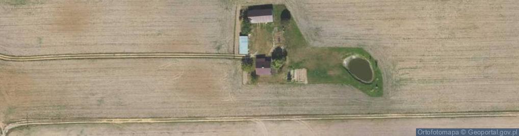 Zdjęcie satelitarne Borzymin ul.