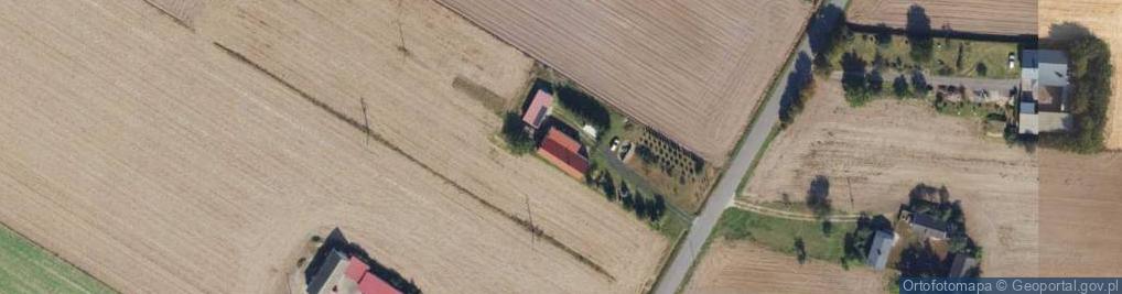 Zdjęcie satelitarne Borzymowice ul.