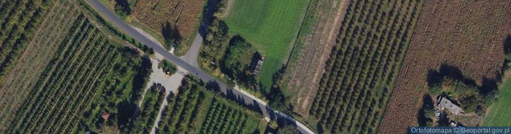 Zdjęcie satelitarne Borzymowice ul.