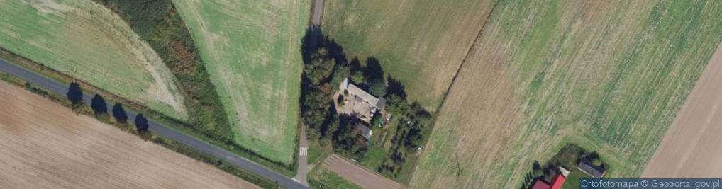 Zdjęcie satelitarne Borzymowice ul.