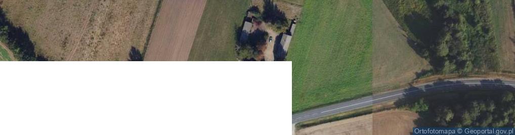 Zdjęcie satelitarne Borzymowice ul.