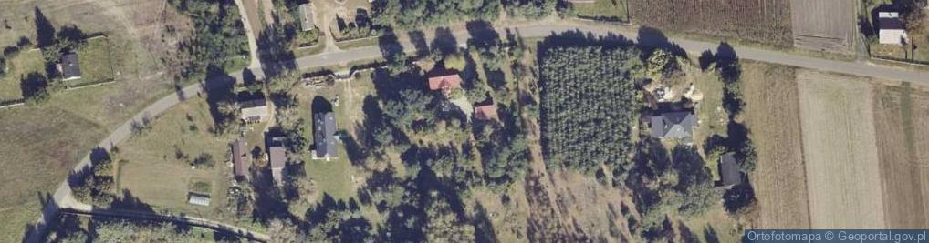 Zdjęcie satelitarne Borki ul.