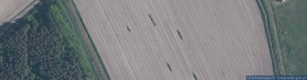 Zdjęcie satelitarne Borowikowa ul.