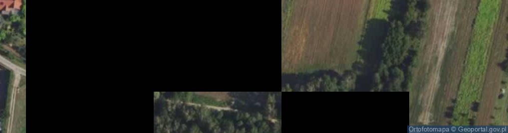 Zdjęcie satelitarne Borówkowa ul.