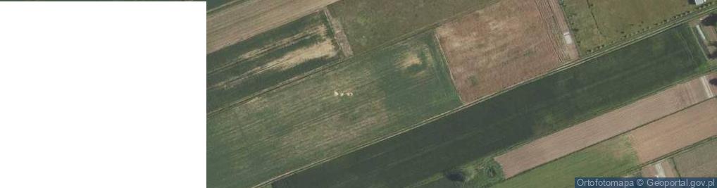Zdjęcie satelitarne Borek ul.