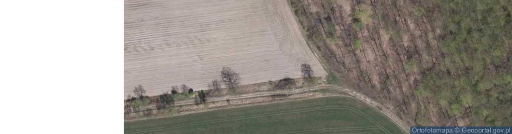 Zdjęcie satelitarne Borowikowa ul.