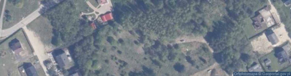 Zdjęcie satelitarne Borowikowa ul.