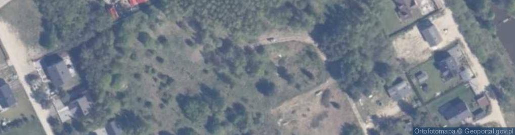 Zdjęcie satelitarne Borowikowa ul.