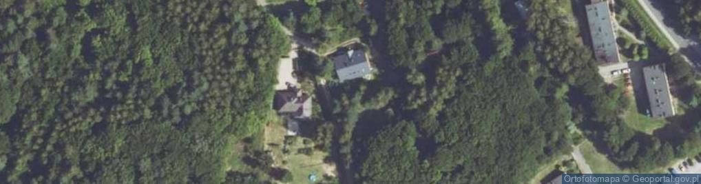 Zdjęcie satelitarne Borowikowa ul.