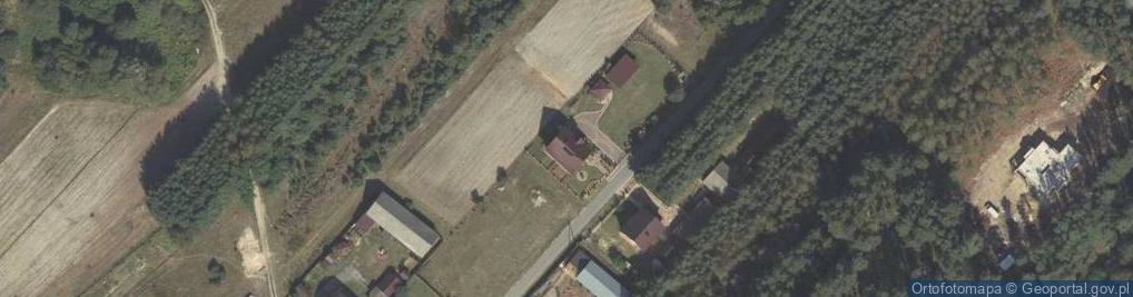 Zdjęcie satelitarne Borki ul.
