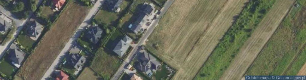 Zdjęcie satelitarne Borowskiego Tadeusza ul.
