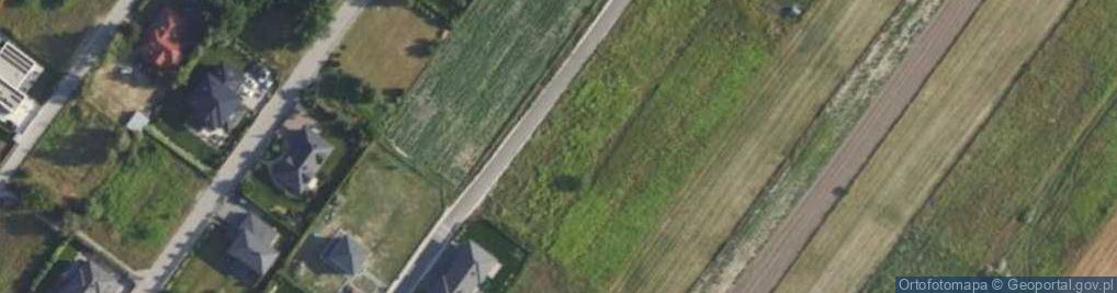 Zdjęcie satelitarne Borowskiego Tadeusza ul.
