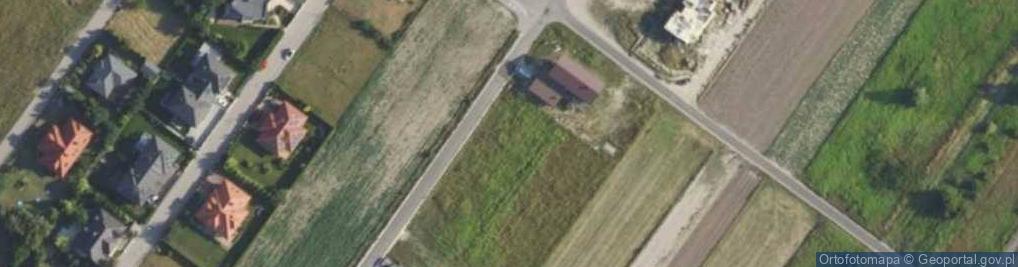 Zdjęcie satelitarne Borowskiego Tadeusza ul.