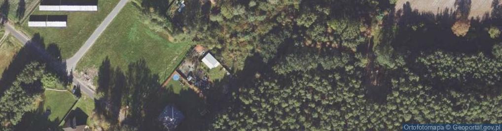 Zdjęcie satelitarne Borówkowa ul.