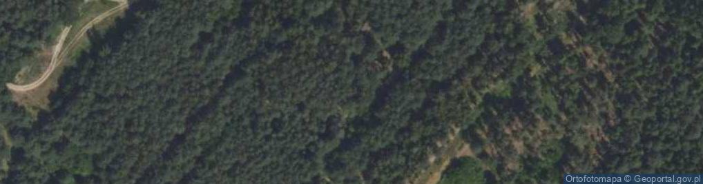 Zdjęcie satelitarne Borowa ul.