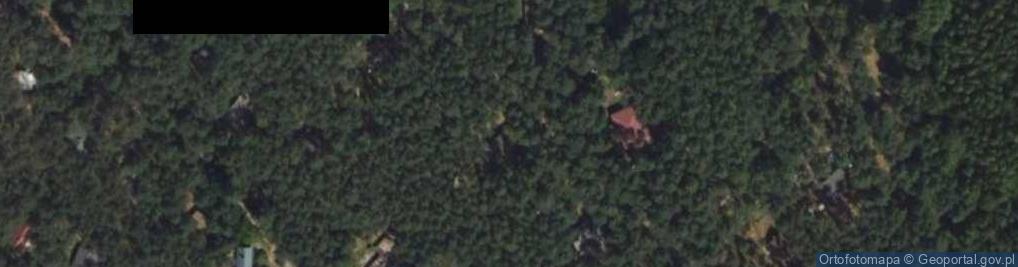 Zdjęcie satelitarne Borowików ul.