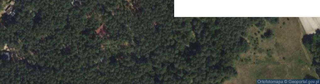 Zdjęcie satelitarne Borowików ul.