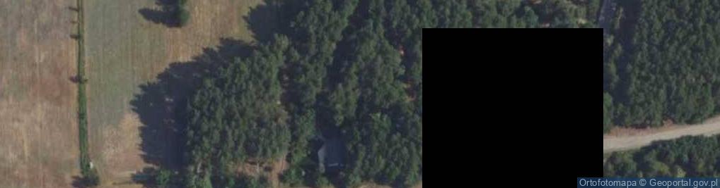 Zdjęcie satelitarne Borowikowa ul.